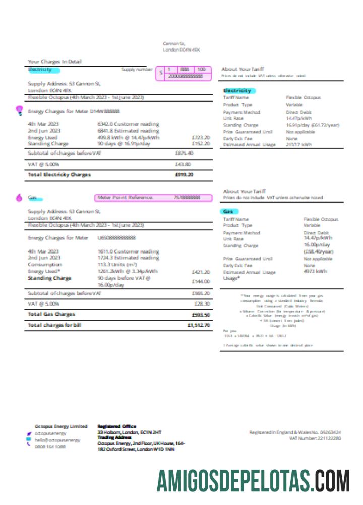 Projeto de lei de negócios de serviços públicos de energia Octopus SCR Página 2 amostra